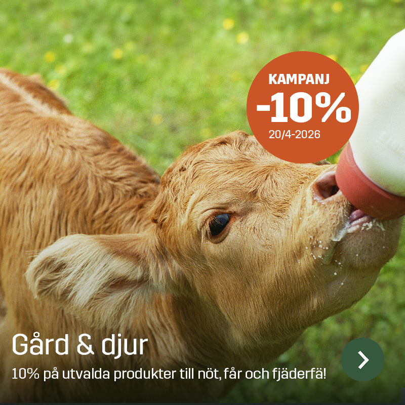 Kalv dricker mjölk ur nappflaska i grön beteshage, med närbild på huvud och mule. Sagros sortiment inom gård och djur används vid utfodring och skötsel av kalvar i lantbruket.