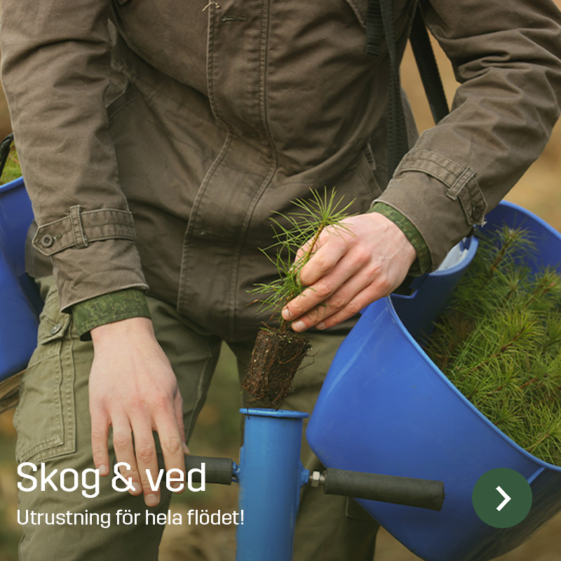 En person håller en liten barrträdsplanta med synlig rotklump ovanför ett planteringsrör. En blå behållare med fler plantor syns bredvid. Sagros sortiment inom skog och ved omfattar utrustning för skogsarbete och plantering.