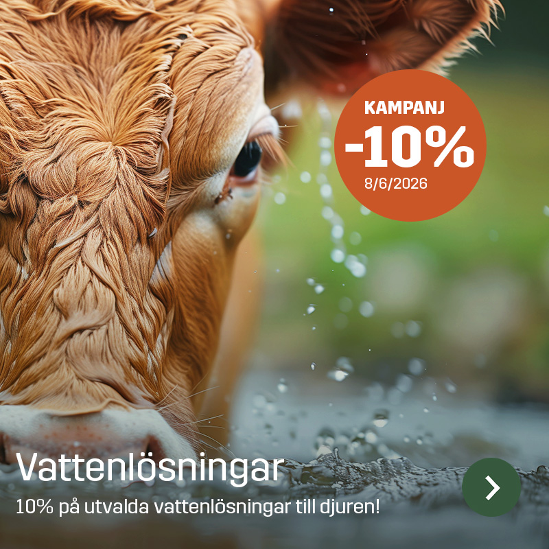 Närbild på kalv som dricker vatten med stänk i förgrunden och kampanjtext om vattenlösningar för djur. Sagros sortiment inom vattenlösningar visas i en miljö kopplad till djurhållning.